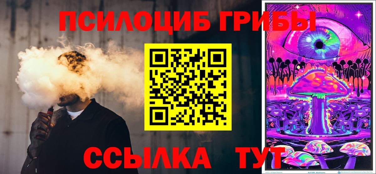 Коряжма  Псилоцибиновые грибы Cubensis  Вход с VPN  Псилоцибиновые грибы Psilocybe 