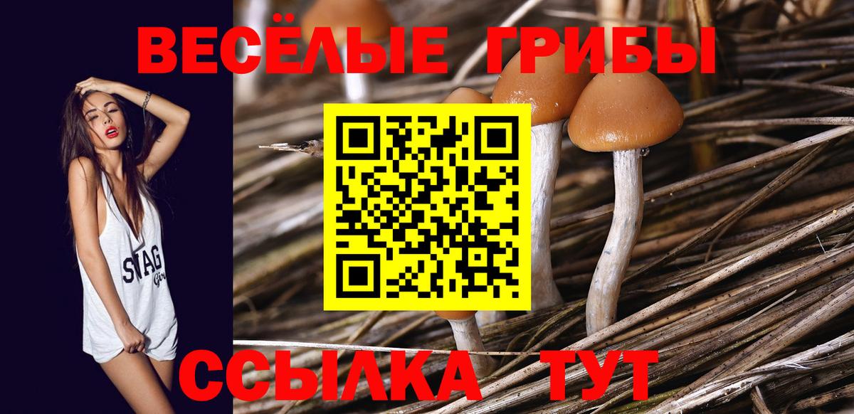 Псилоцибиновые грибы мухоморы Коряжма